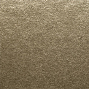 Dolton Tussah  by Kasmir Fabric