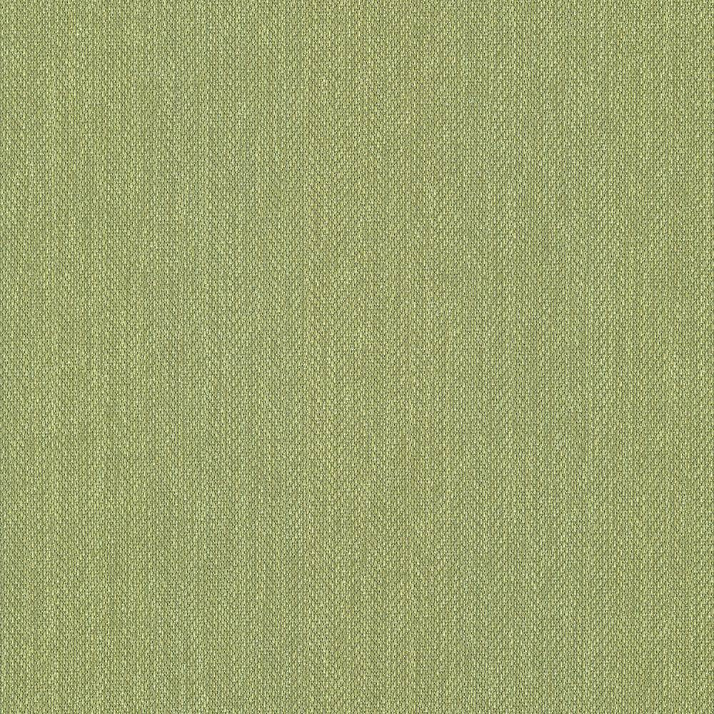 Donegal Avocado by Kasmir Fabric 5049 52% Polyester
48% Cotton
 TURKEY </p><p>Repeat: Horizontal: N/A and Vertical: N/A 55 - Fabric Carolina -