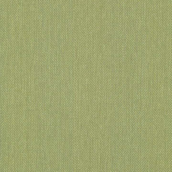 Donegal Avocado by Kasmir Fabric 5049 52% Polyester
48% Cotton
 TURKEY </p><p>Repeat: Horizontal: N/A and Vertical: N/A 55 - Fabric Carolina -