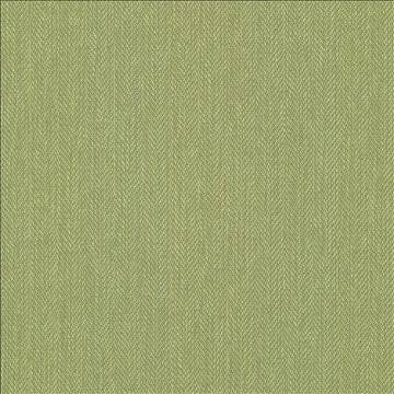 Donegal Avocado by Kasmir Fabric 5049 52% Polyester 48% Cotton TURKEY 42,000 Wyzenbeek Double Rubs H: N/A, V: N/A 55 - Fabric Carolina - Kasmir