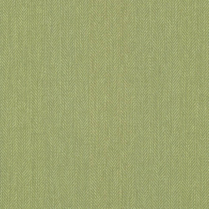Donegal Avocado by Kasmir Fabric 5049 52% Polyester
48% Cotton
 TURKEY </p><p>Repeat: Horizontal: N/A and Vertical: N/A 55 - Fabric Carolina -