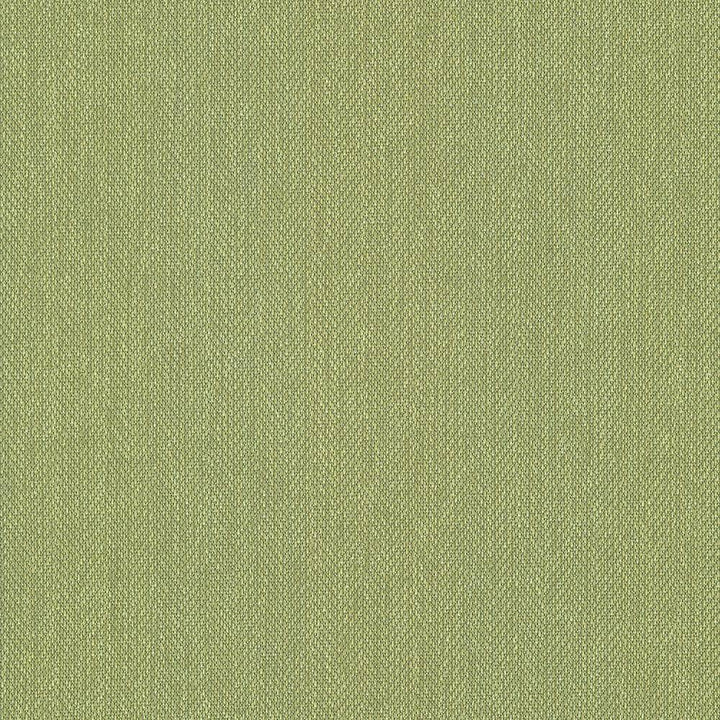 Donegal Avocado by Kasmir Fabric 5049 52% Polyester 48% Cotton USA 42,000 Wyzenbeek Double Rubs H: N/A, V:N/A 55 - Fabric Carolina - Kasmir