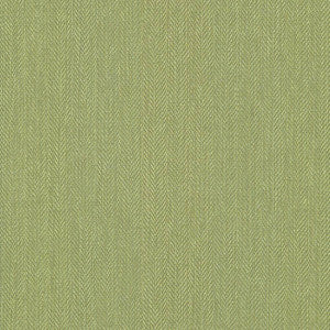 Donegal Avocado by Kasmir Fabric