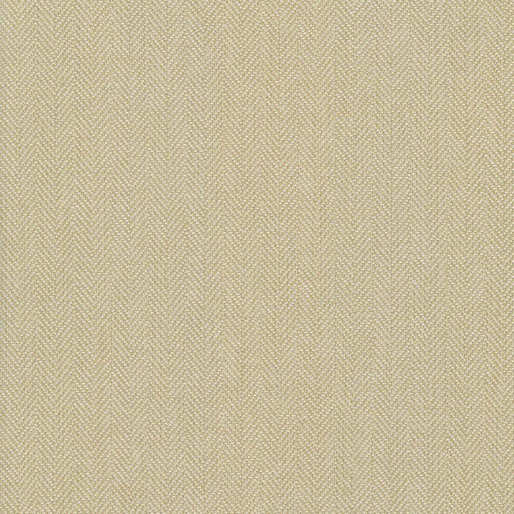 Donegal Biscuit by Kasmir Fabric 5049 52% Polyester
48% Cotton
 TURKEY </p><p>Repeat: Horizontal: N/A and Vertical: N/A 55 - Fabric Carolina -