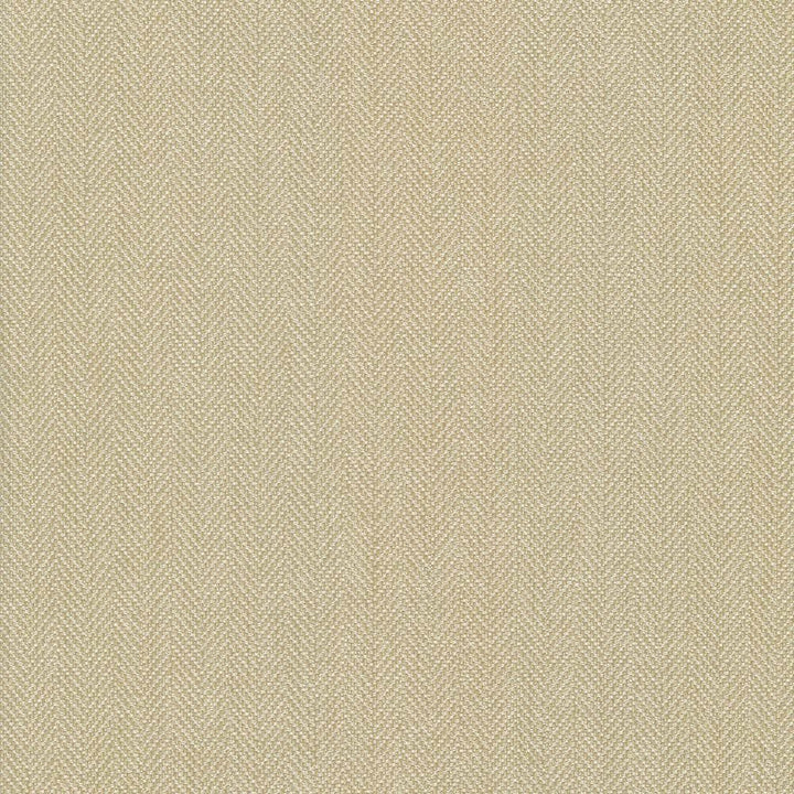 Donegal Biscuit by Kasmir Fabric 5049 52% Polyester
48% Cotton
 TURKEY 42,000 Wyzenbeek Double Rubs Horizontal: N/A and Vertical: N/A 55 - Fabric Carolina -