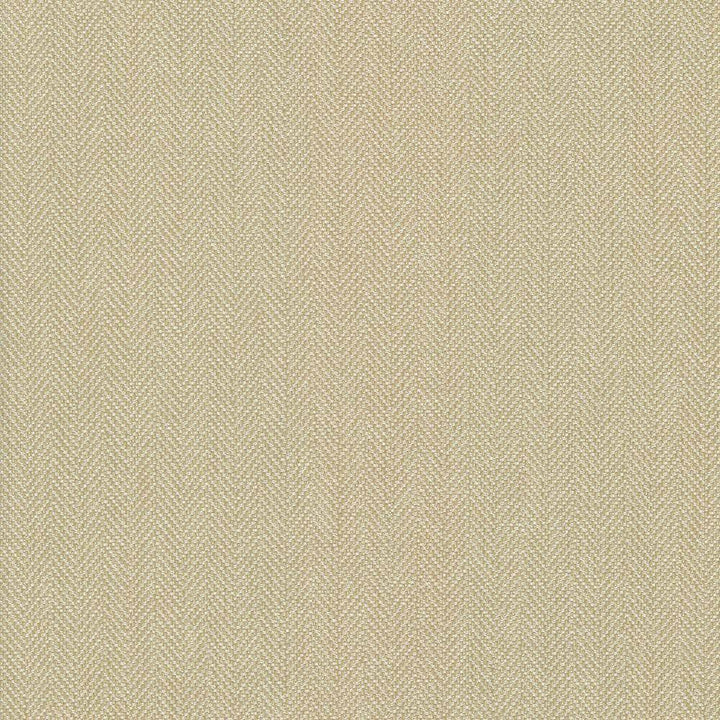 Donegal Biscuit by Kasmir Fabric 5049 52% Polyester 48% Cotton USA 42,000 Wyzenbeek Double Rubs H: N/A, V:N/A 55 - Fabric Carolina - Kasmir