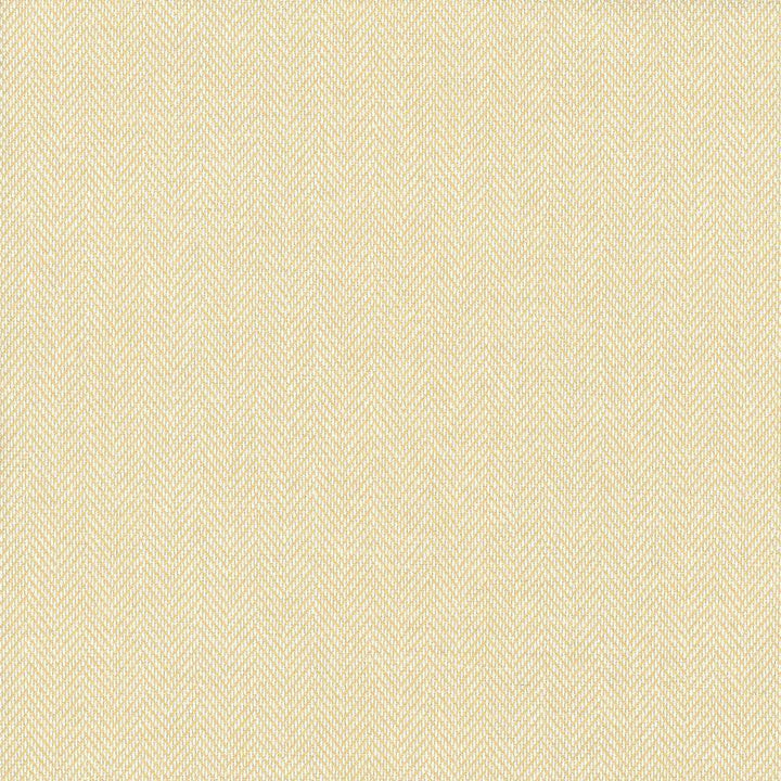 Donegal Butter by Kasmir Fabric 5049 52% Polyester 48% Cotton USA 42,000 Wyzenbeek Double Rubs H: N/A, V:N/A 55 - Fabric Carolina - Kasmir