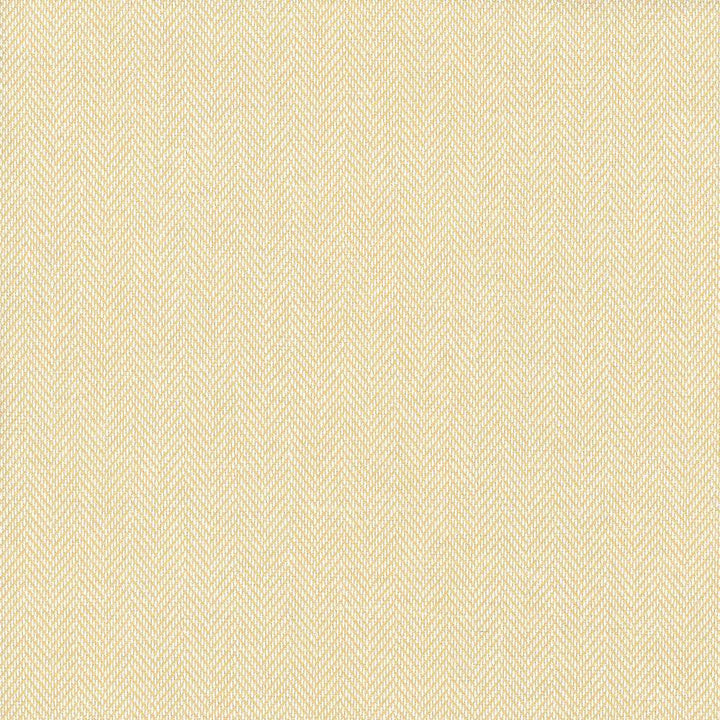 Donegal Butter by Kasmir Fabric 5049 52% Polyester
48% Cotton
 TURKEY </p><p>Repeat: Horizontal: N/A and Vertical: N/A 55 - Fabric Carolina -