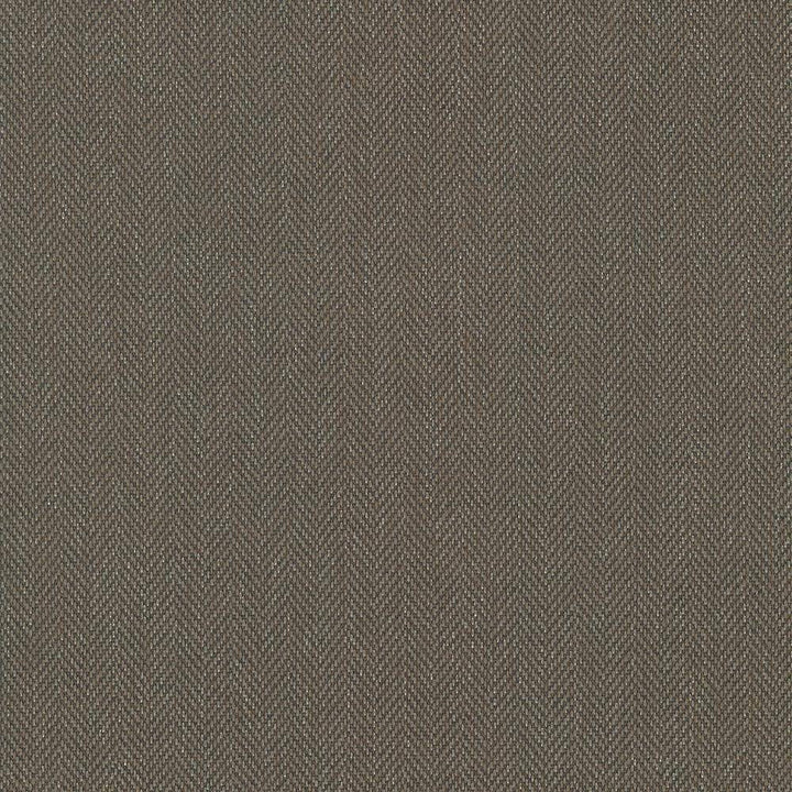Donegal Chocolate by Kasmir Fabric 5049 52% Polyester 48% Cotton USA 42,000 Wyzenbeek Double Rubs H: N/A, V:N/A 55 - Fabric Carolina - Kasmir