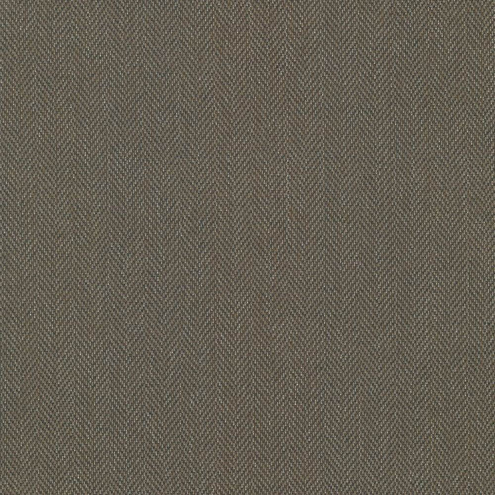 Donegal Chocolate by Kasmir Fabric 5049 52% Polyester
48% Cotton
 TURKEY </p><p>Repeat: Horizontal: N/A and Vertical: N/A 55 - Fabric Carolina -