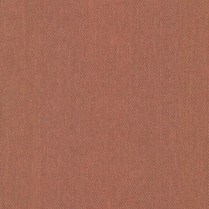 Donegal Clay by Kasmir Fabric 5049 52% Polyester
48% Cotton
 TURKEY </p><p>Repeat: Horizontal: N/A and Vertical: N/A 55 - Fabric Carolina -