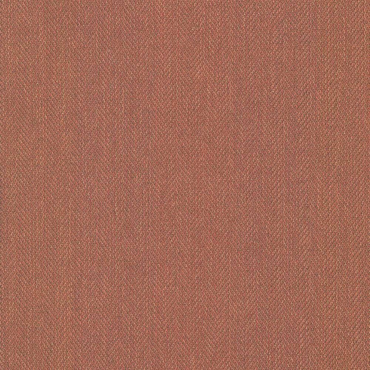 Donegal Clay by Kasmir Fabric 5049 52% Polyester 48% Cotton USA 42,000 Wyzenbeek Double Rubs H: N/A, V:N/A 55 - Fabric Carolina - Kasmir
