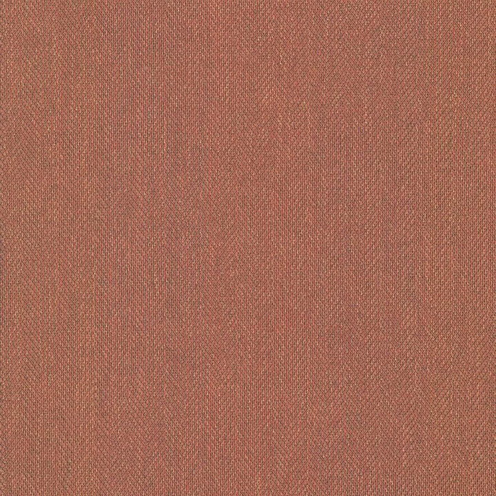 Donegal Clay by Kasmir Fabric 5049 52% Polyester
48% Cotton
 TURKEY 42,000 Wyzenbeek Double Rubs Horizontal: N/A and Vertical: N/A 55 - Fabric Carolina -