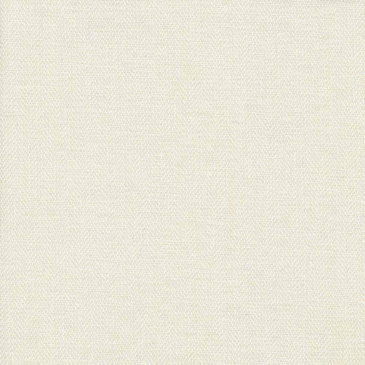 Donegal Cream by Kasmir Fabric 5049 52% Polyester 48% Cotton USA 42,000 Wyzenbeek Double Rubs H: N/A, V:N/A 55 - Fabric Carolina - Kasmir