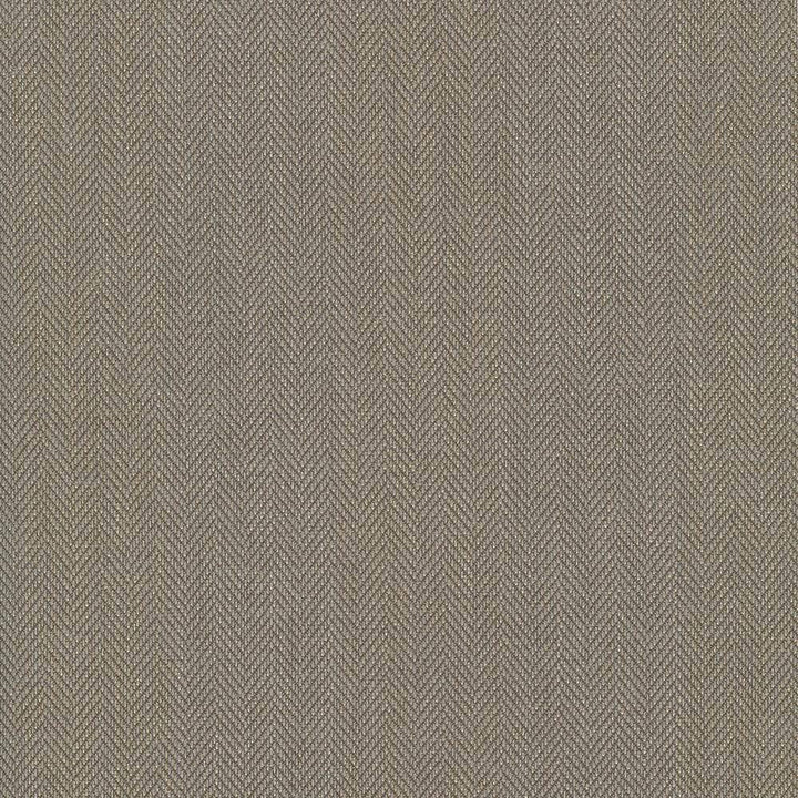 Donegal Dune by Kasmir Fabric 5049 52% Polyester 48% Cotton USA 42,000 Wyzenbeek Double Rubs H: N/A, V:N/A 55 - Fabric Carolina - Kasmir