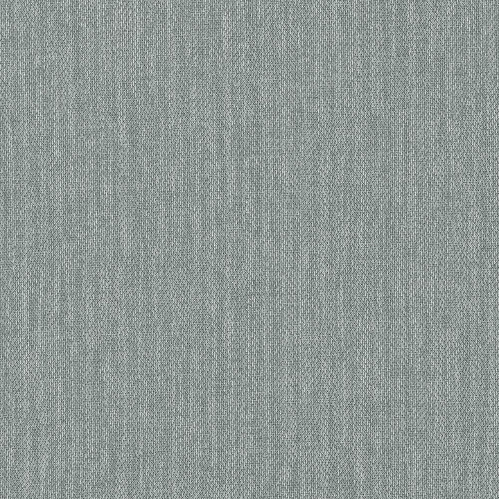Donegal Elephant by Kasmir Fabric 5049 52% Polyester 48% Cotton TURKEY 42,000 Wyzenbeek Double Rubs Horizontal: 0 Inches and Vertical: 0 Inches 55 - Fabric Carolina -