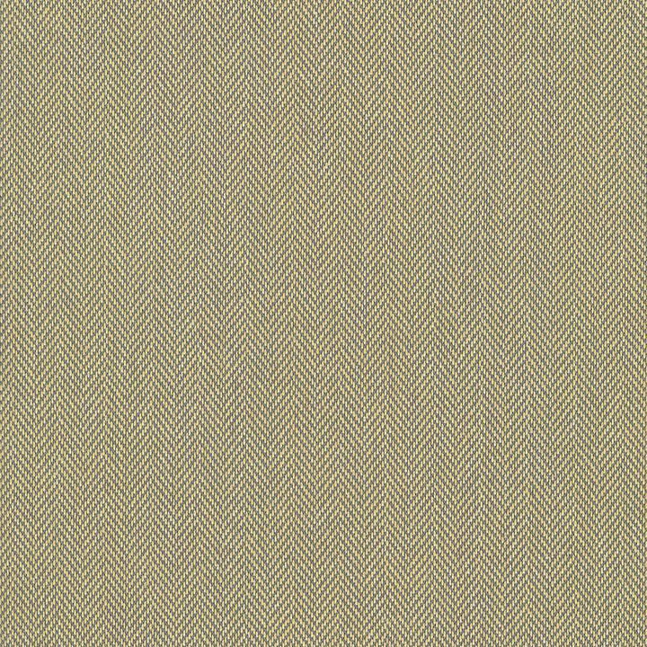 Donegal Gold by Kasmir Fabric 5049 52% Polyester 48% Cotton USA 42,000 Wyzenbeek Double Rubs H: N/A, V:N/A 55 - Fabric Carolina - Kasmir