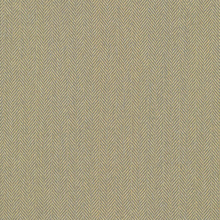 Donegal Gold by Kasmir Fabric 5049 52% Polyester
48% Cotton
 TURKEY </p><p>Repeat: Horizontal: N/A and Vertical: N/A 55 - Fabric Carolina -