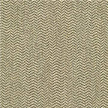 Donegal Gold by Kasmir Fabric 5049 52% Polyester 48% Cotton TURKEY 42,000 Wyzenbeek Double Rubs H: N/A, V: N/A 55 - Fabric Carolina - Kasmir