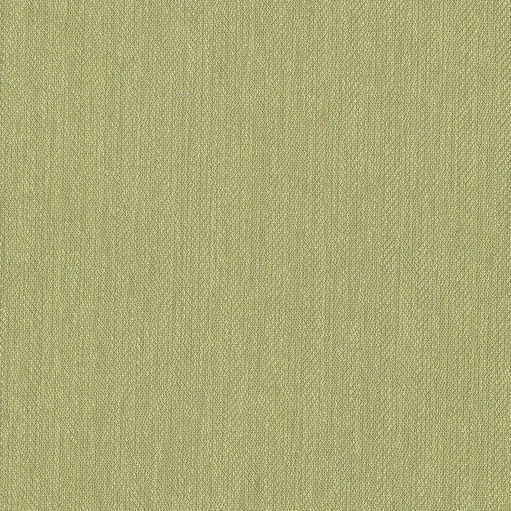 Donegal Kiwi by Kasmir Fabric 5049 52% Polyester
48% Cotton
 TURKEY </p><p>Repeat: Horizontal: N/A and Vertical: N/A 55 - Fabric Carolina -