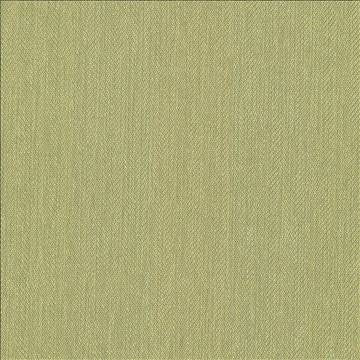 Donegal Kiwi by Kasmir Fabric 5049 52% Polyester 48% Cotton TURKEY 42,000 Wyzenbeek Double Rubs H: N/A, V: N/A 55 - Fabric Carolina - Kasmir