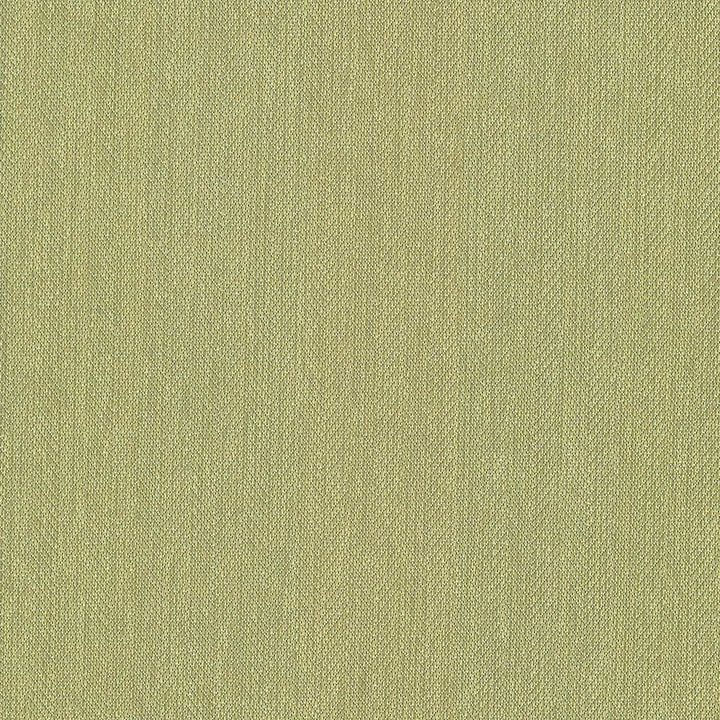 Donegal Kiwi by Kasmir Fabric 5049 52% Polyester
48% Cotton
 TURKEY </p><p>Repeat: Horizontal: N/A and Vertical: N/A 55 - Fabric Carolina -