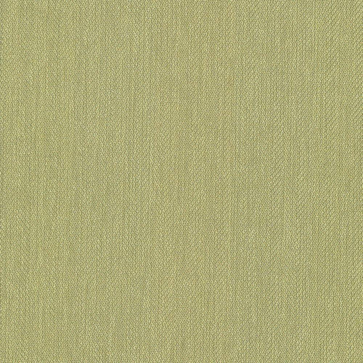 Donegal Kiwi by Kasmir Fabric 5049 52% Polyester 48% Cotton USA 42,000 Wyzenbeek Double Rubs H: N/A, V:N/A 55 - Fabric Carolina - Kasmir
