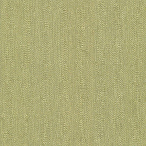 Donegal Kiwi by Kasmir Fabric