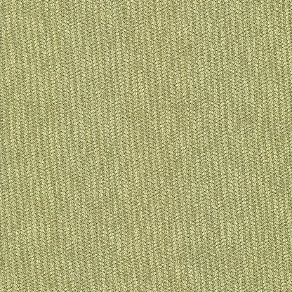 Donegal Kiwi by Kasmir Fabric 5049 52% Polyester
48% Cotton
 TURKEY 42,000 Wyzenbeek Double Rubs </p><p>Repeat: Horizontal: N/A and Vertical: N/A 55 - Fabric Carolina -