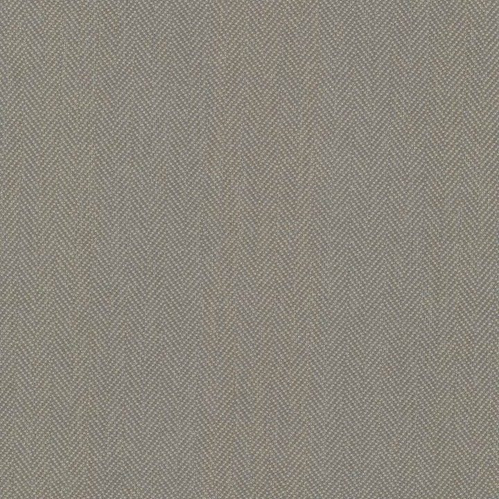 Donegal Pebble by Kasmir Fabric 5049 52% Polyester
48% Cotton
 TURKEY 42,000 Wyzenbeek Double Rubs </p><p>Repeat: Horizontal: N/A and Vertical: N/A 55 - Fabric Carolina -
