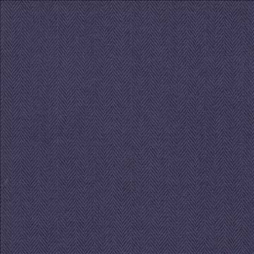 Donegal Purple by Kasmir Fabric 5049 52% Polyester 48% Cotton TURKEY 42,000 Wyzenbeek Double Rubs H: N/A, V: N/A 55 - Fabric Carolina - Kasmir