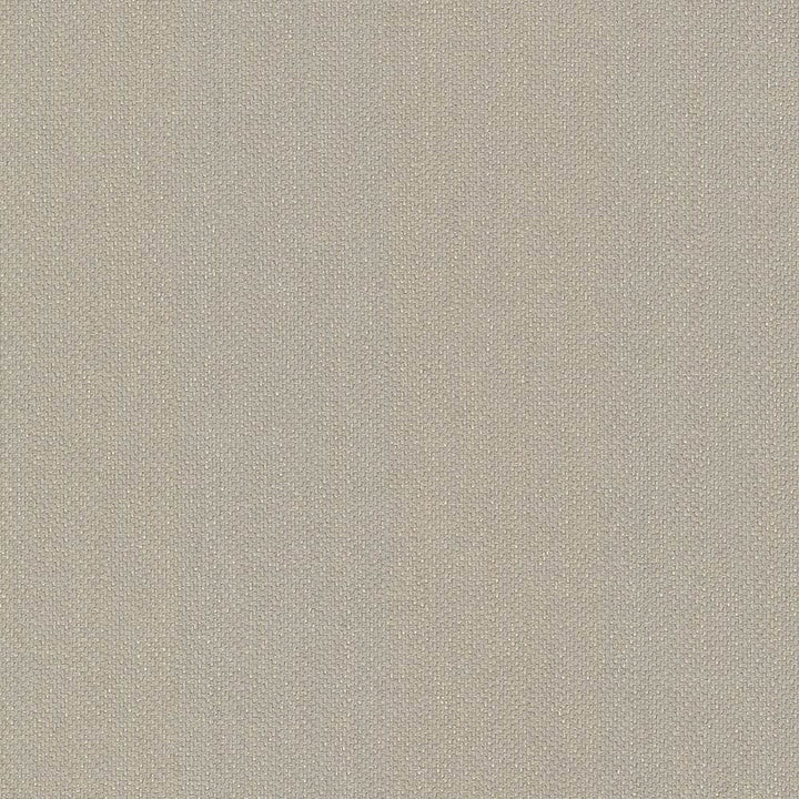Donegal Sand by Kasmir Fabric 5049 52% Polyester
48% Cotton
 TURKEY 42,000 Wyzenbeek Double Rubs </p><p>Repeat: Horizontal: N/A and Vertical: N/A 55 - Fabric Carolina -