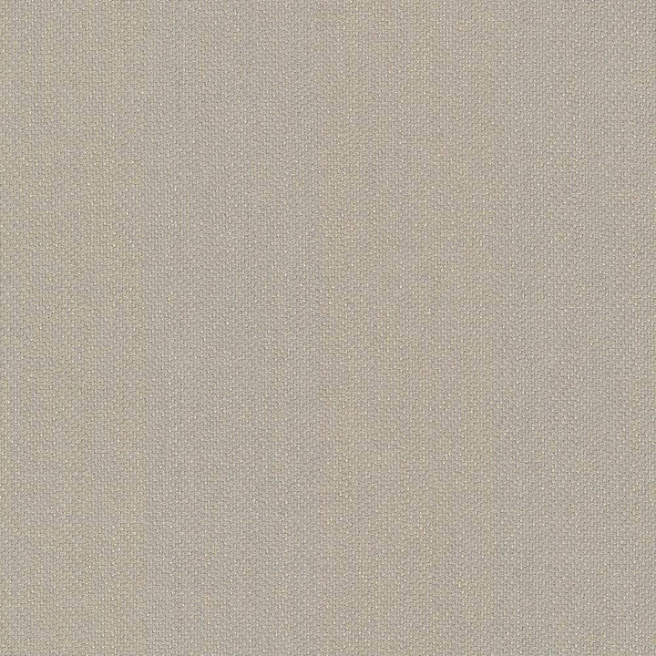 Donegal Sand by Kasmir Fabric 5049 52% Polyester 48% Cotton USA 42,000 Wyzenbeek Double Rubs H: N/A, V:N/A 55 - Fabric Carolina - Kasmir