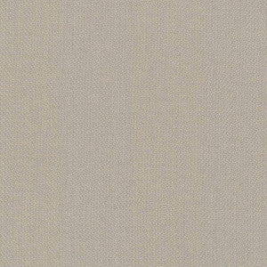 Donegal Sand by Kasmir Fabric