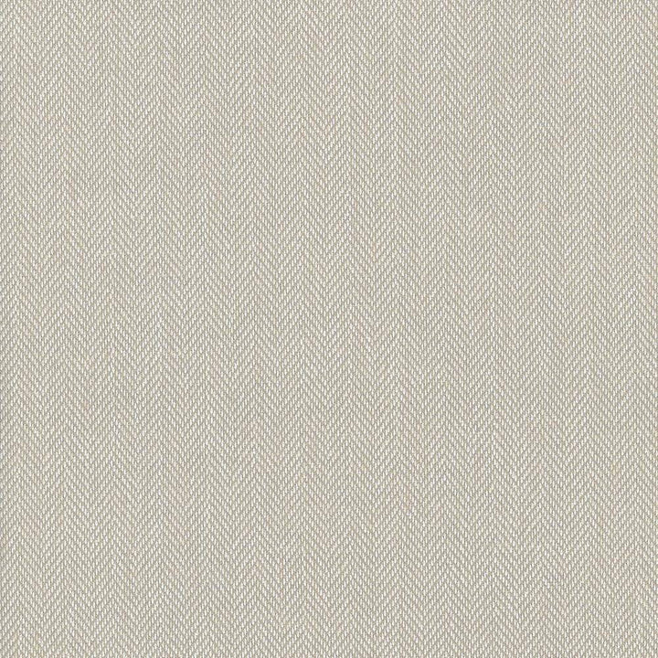 Donegal Tan by Kasmir Fabric 5049 52% Polyester 48% Cotton USA 42,000 Wyzenbeek Double Rubs H: N/A, V:N/A 55 - Fabric Carolina - Kasmir