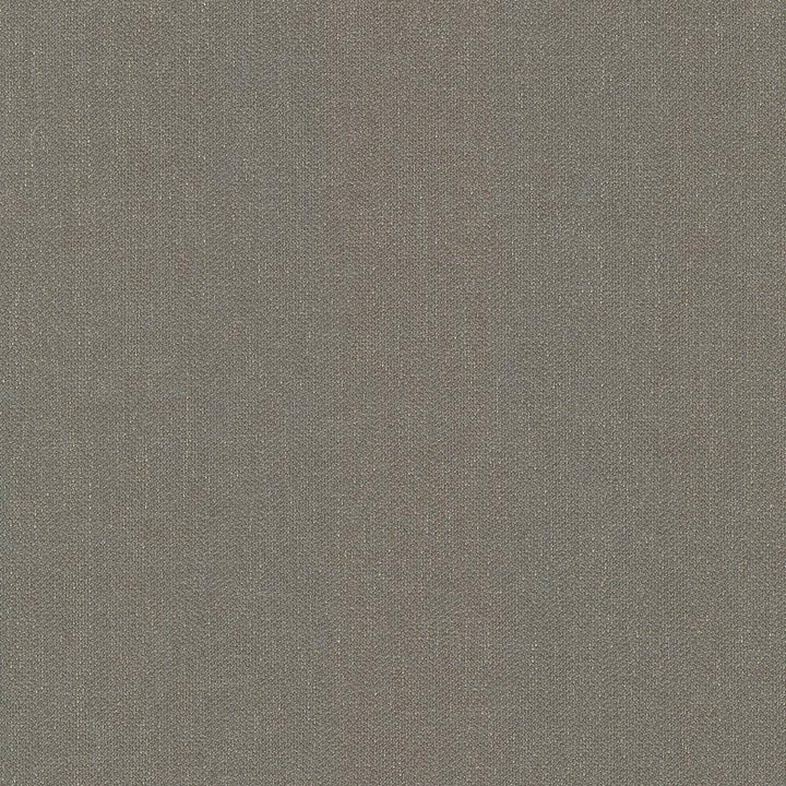 Donegal Taupe by Kasmir Fabric 5049 52% Polyester 48% Cotton USA 42,000 Wyzenbeek Double Rubs H: N/A, V:N/A 55 - Fabric Carolina - Kasmir