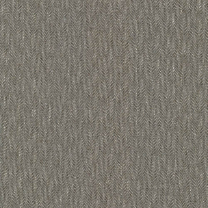 Donegal Taupe by Kasmir Fabric 5049 52% Polyester 48% Cotton TURKEY 42,000 Wyzenbeek Double Rubs Horizontal: 0 Inches and Vertical: 0 Inches 55 - Fabric Carolina -