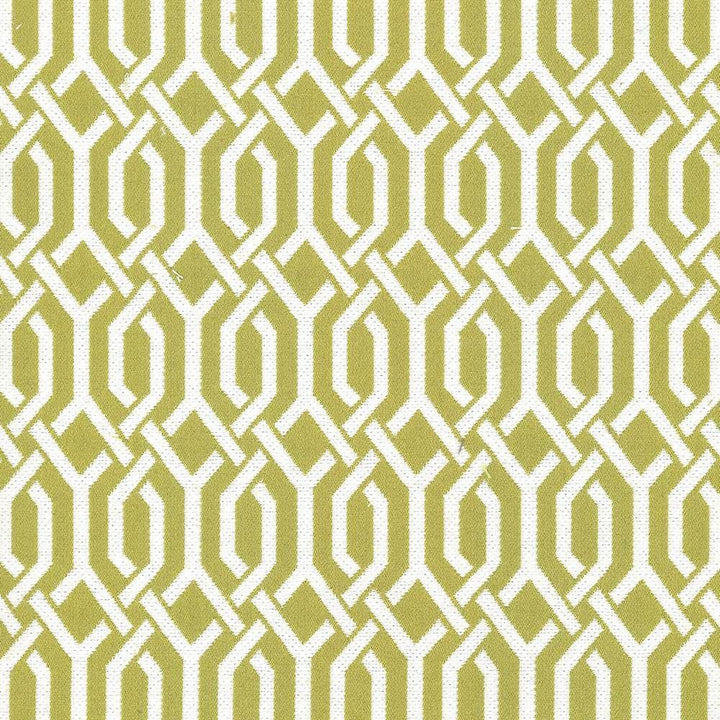 Dont You Fret Lemongrass by Kasmir Fabric 5074 70% Cotton
30% Polyester
 CHINA </p><p>Repeat: Horizontal: 1 4/8 inches and Vertical: 2 3/8 inches 54 - 55 - Fabric Carolina -