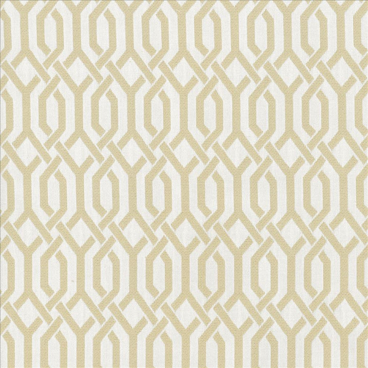Dont You Fret Vapor by Kasmir Fabric 5067 70% Cotton
30% Polyester
 CHINA 16,000 Wyzenbeek Double Rubs Horizontal: 1 4/8 inches and Vertical: 2 3/8 inches 54 - Fabric Carolina -