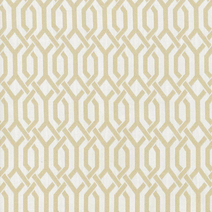 Dont You Fret Vapor by Kasmir Fabric 5067 70% Cotton 30% Polyester CHINA 16,000 Wyzenbeek Double Rubs H: 1 4/8 inches, V:2 3/8 inches 54 - 55 - Fabric Carolina - Kasmir