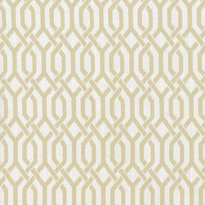 Dont You Fret Vapor by Kasmir Fabric