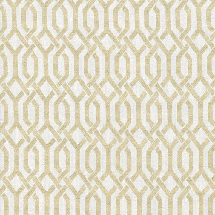 Dont You Fret Vapor by Kasmir Fabric 5067 70% Cotton
30% Polyester
 CHINA </p><p>Repeat: Horizontal: 1 4/8 inches and Vertical: 2 3/8 inches 54 - 55 - Fabric Carolina -