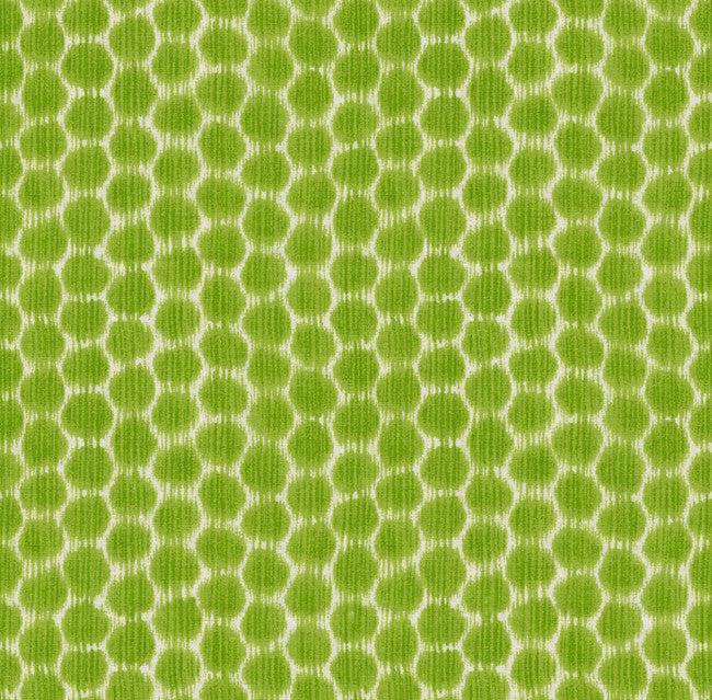 Dotkat Glade by Kravet Design Fabric