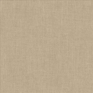 Dougal Shadow by Kasmir Fabric