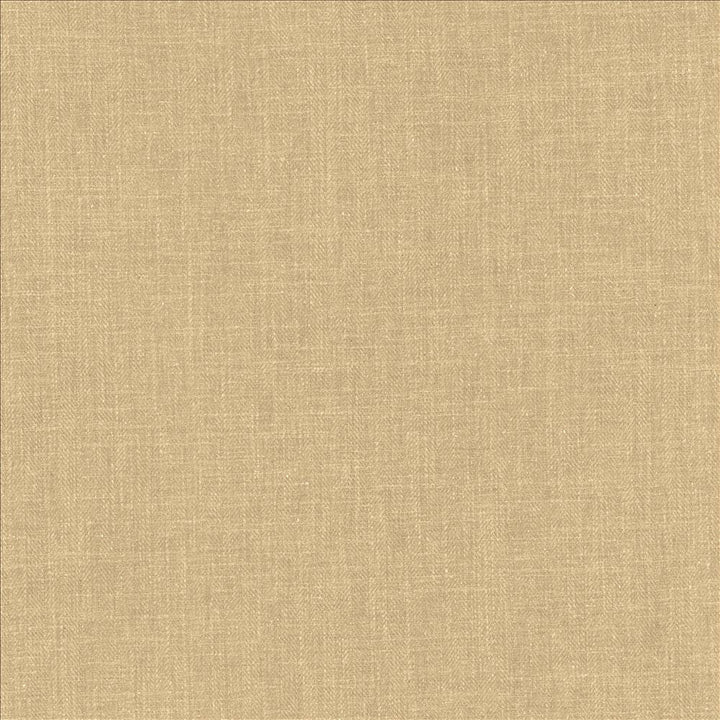 Dougal Sisal by Kasmir Fabric 5175 42% Cotton
20% Linen
20% Polyester
18% Rayon
 INDIA 30,000 Wyzenbeek Double Rubs </p><p>Repeat: Horizontal: N/A and Vertical: N/A 54 - Fabric Carolina -