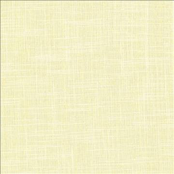Drancy Bisque by Kasmir Fabric 5120 100% Polyester INDIA Not Tested H: N/A, V: N/A 54 - Fabric Carolina - Kasmir