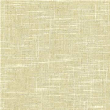 Drancy Dune by Kasmir Fabric 5120 100% Polyester INDIA Not Tested H: N/A, V: N/A 54 - Fabric Carolina - Kasmir