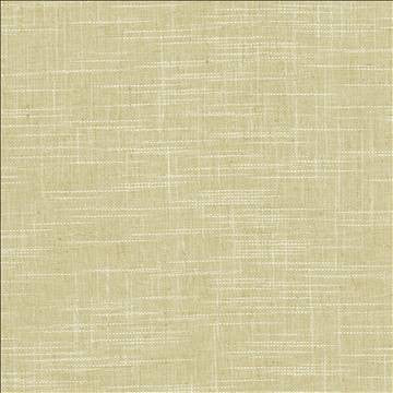 Drancy Leaf by Kasmir Fabric 5120 100% Polyester INDIA Not Tested H: N/A, V: N/A 54 - Fabric Carolina - Kasmir