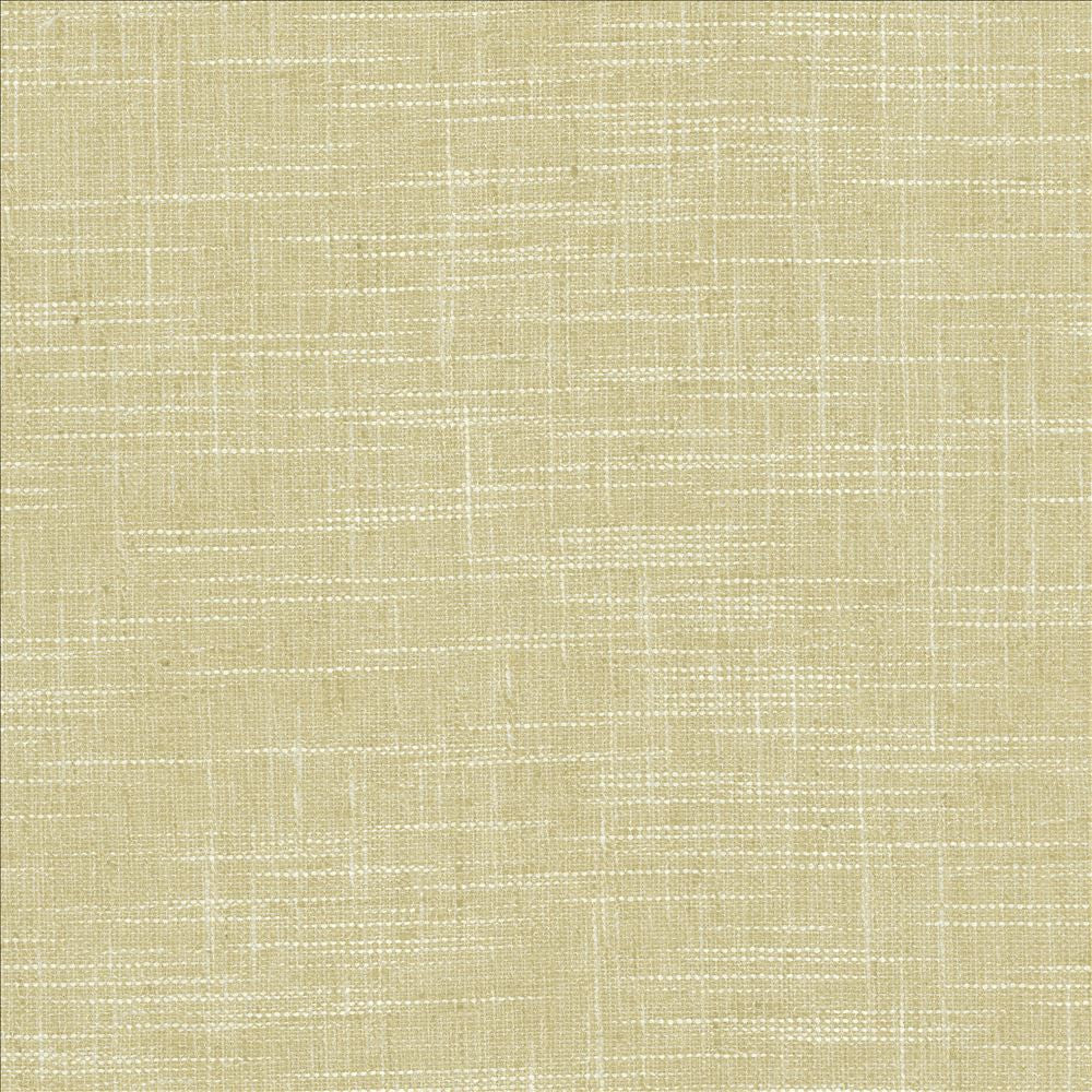 Drancy Leaf by Kasmir Fabric 5120 100% Polyester
 INDIA </p><p>Repeat: Horizontal: N/A and Vertical: N/A 54 - Fabric Carolina -