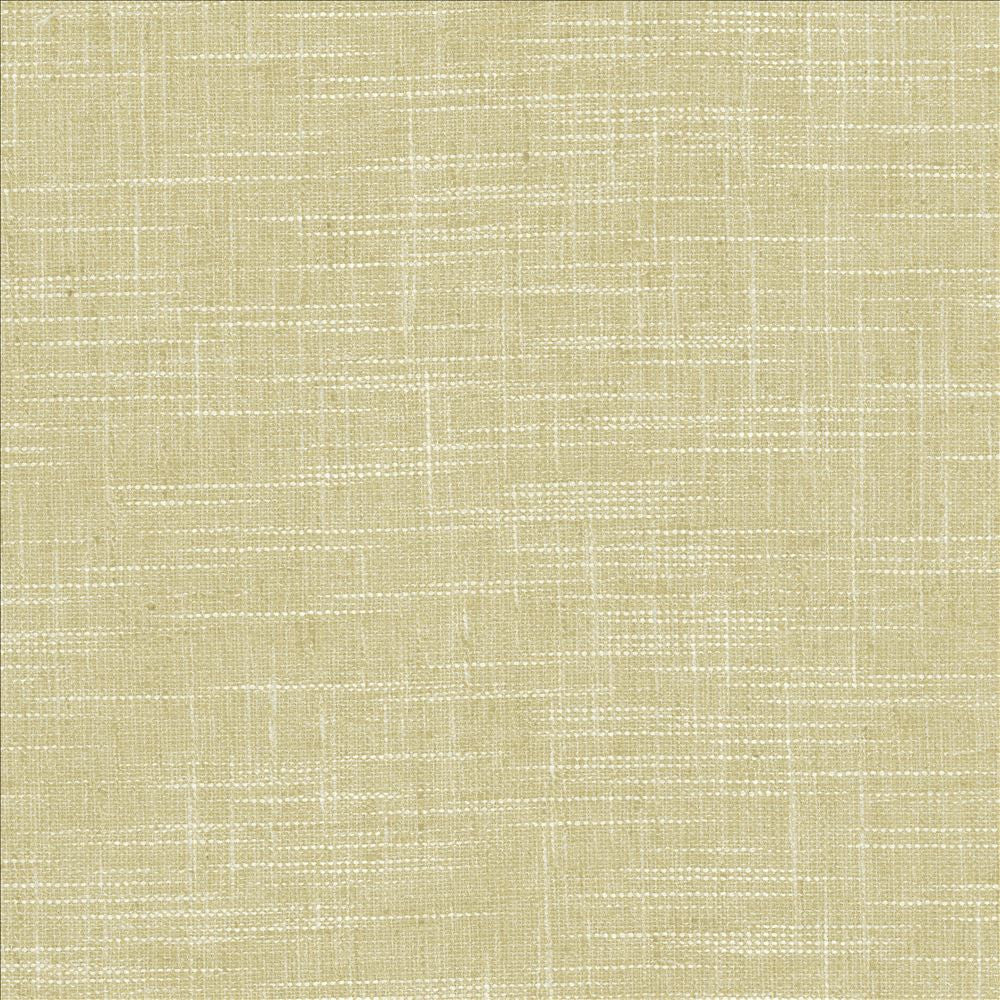 Drancy Leaf by Kasmir Fabric 5120 100% Polyester
 INDIA Not Tested Horizontal: N/A and Vertical: N/A 54 - Fabric Carolina -
